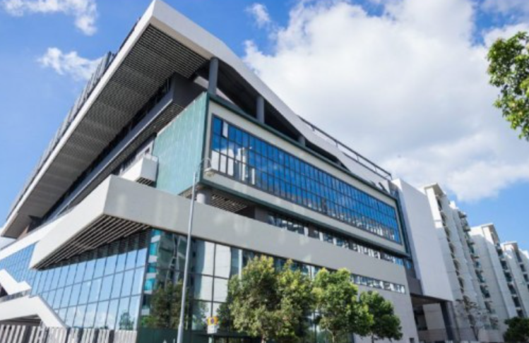 JRS直播:香港蒙特梭利国际学校招生简章